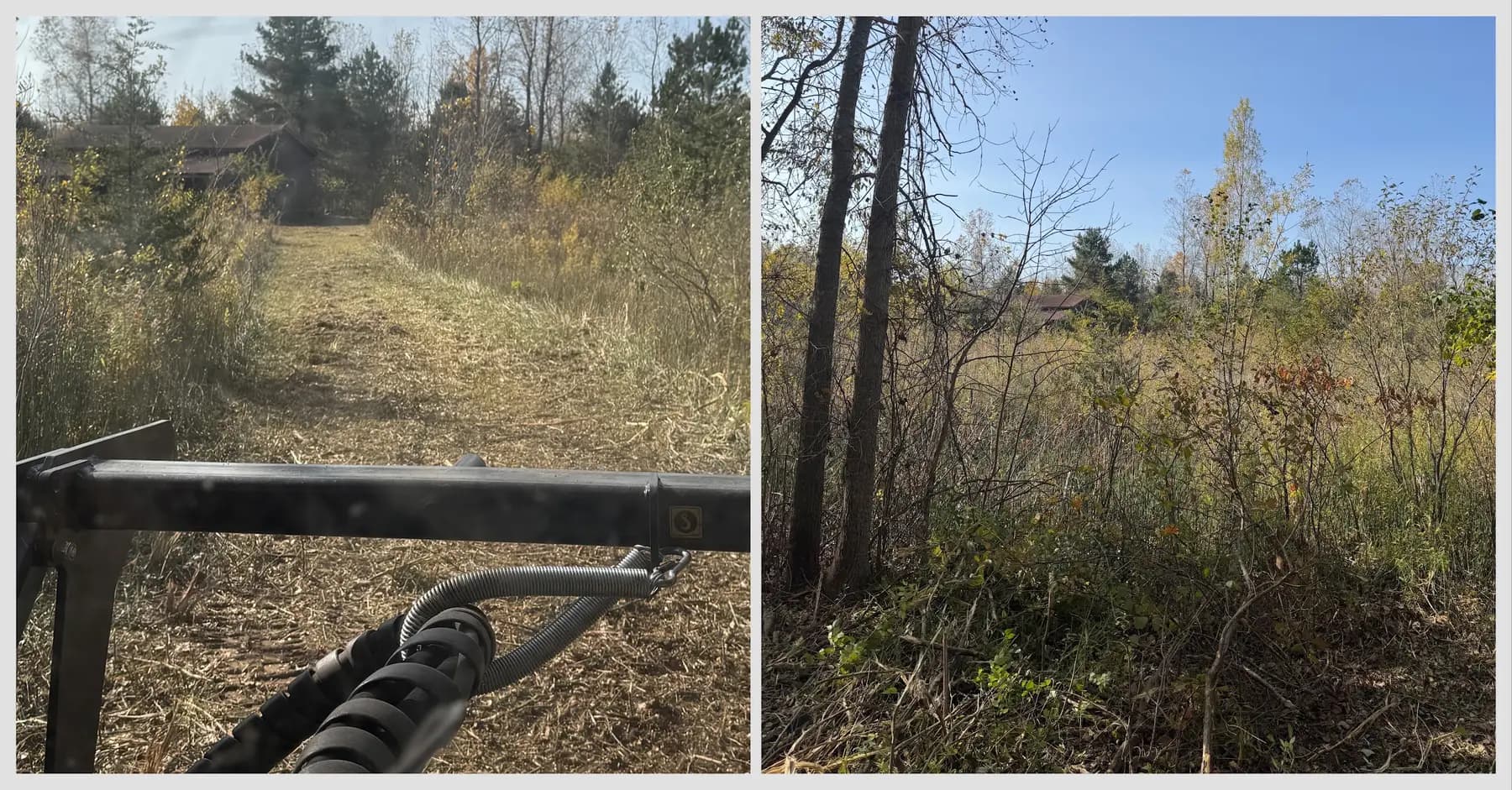 Before and after view of a brush line from the mulcher cab