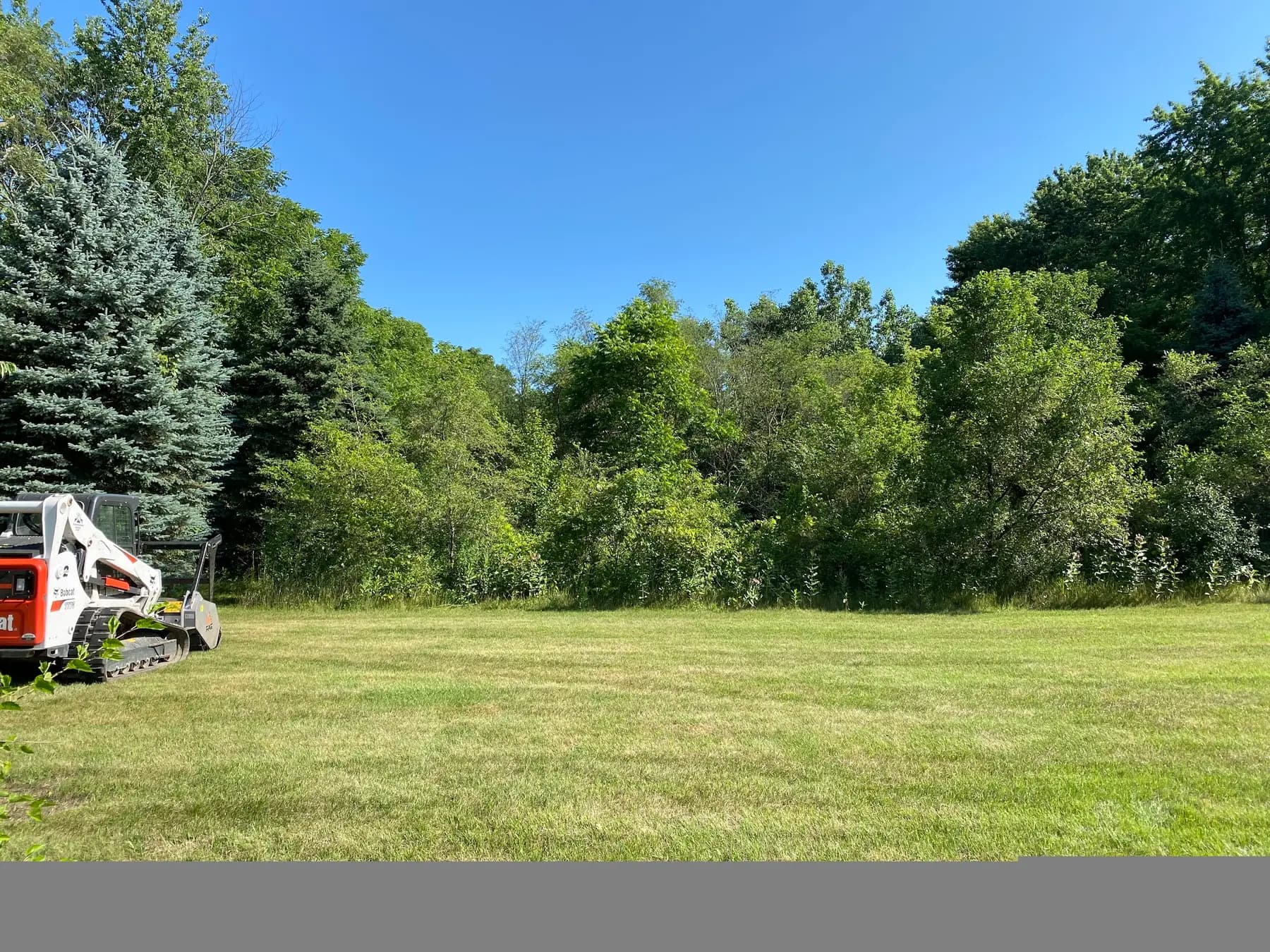 Onyx track loader at the edge of a wooded Michigan property