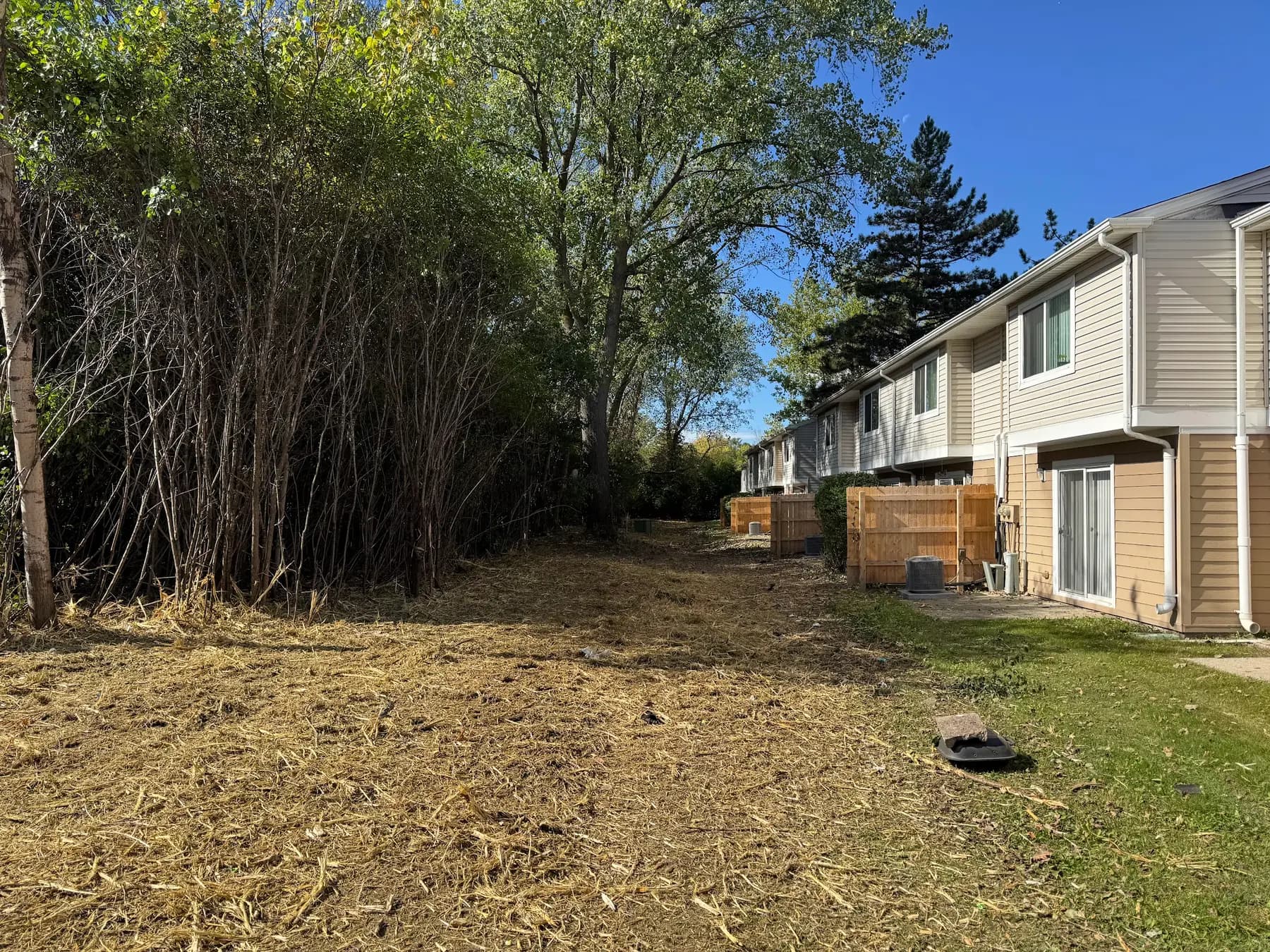 Strip of ground behind an apartment complex after the brush was mulched