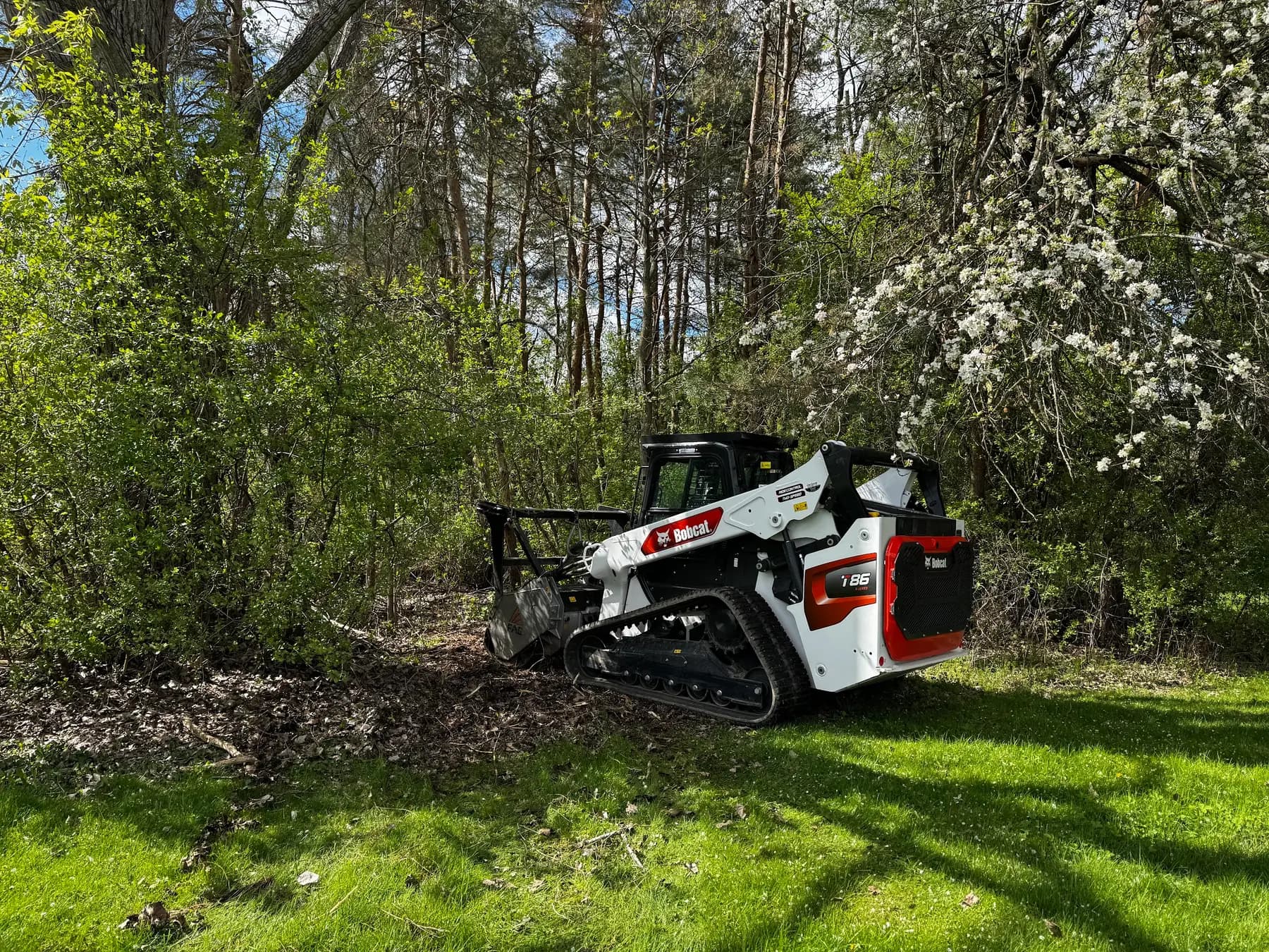 Bobcat forestry mulcher working along a tree line in spring