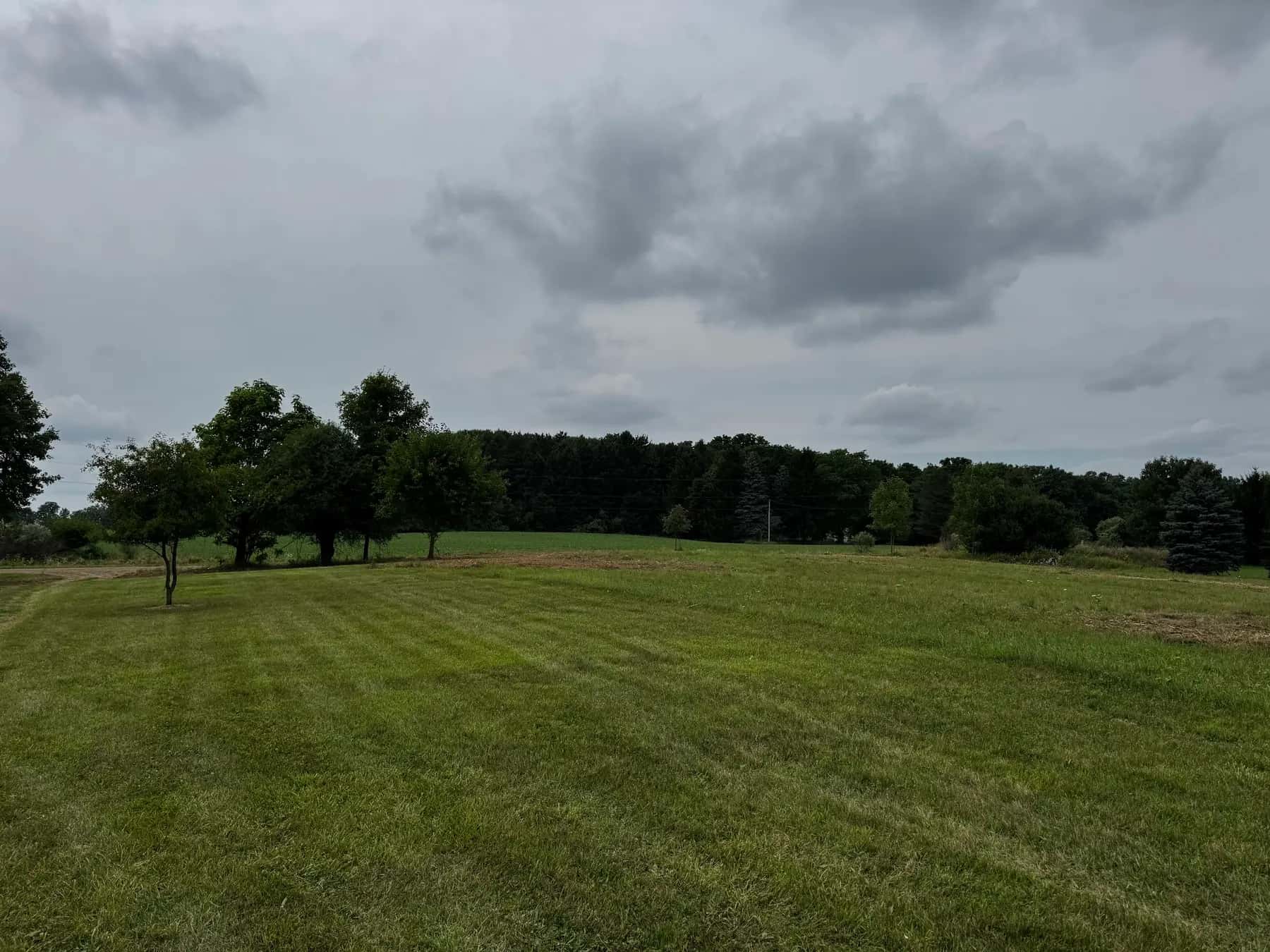Open field and tree line on a Mid-Michigan property after mowing